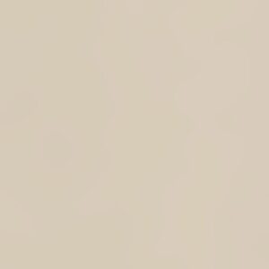 Placa compact laminat cu HPL, 12 mm, Beige U119 (2800 x 2070 mm)