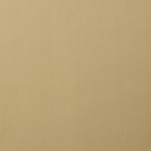 HPL HOMAPAL 342/000 Alu Plain Polished Goldtone